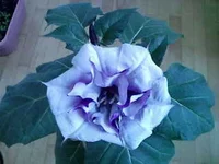Photo-0803.webp
