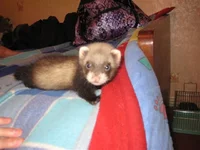 IMG_5907.webp IMG_5907.webp