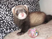 IMG_5962.webp IMG_5962.webp