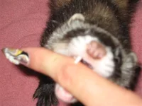 IMG_6750.webp IMG_6750.webp