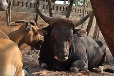 DSC_3280_новый размер.webp