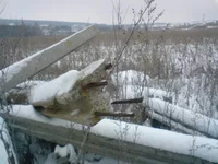 DSC00169.webp