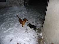 P1000022.JPG