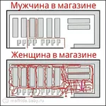 427378.298276971.jpg