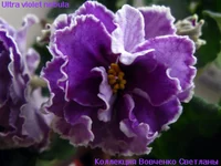 ultra violet nebula 2.webp