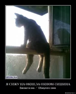 1262167707_d8dego9qw612.webp