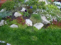 092.webp