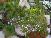  102.webp