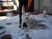 IMGP4698.webp