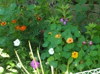 .webp
