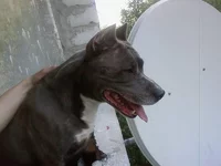  Цельз Чиль Аксель.webp