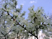 IMG_7692lllll.webp