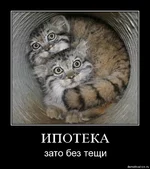 1257248208_stpzgq8oec9p.webp