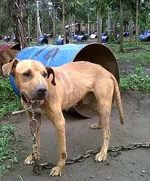 6694601.webp