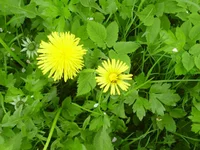  077.webp