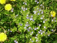  073.webp