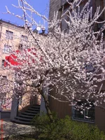 DSC00034.jpg