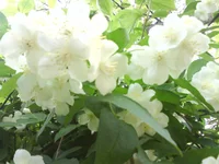 DSC04028.webp
