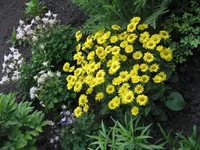 IMG_0880.webp