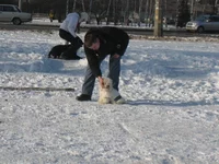 IMG_3062.jpg