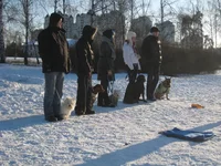 IMG_3068.jpg