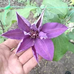 DSC00113.webp