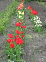 IMG_0514_1.webp