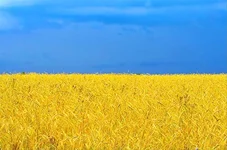 0%D0%B3-%D0%A3%D0%BA%D1%80%D0%B0%D0%B8%D0%BD%D1%8B.jpg