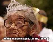 GZAuI8H5cTc.jpg