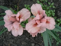 P1180648[2].webp
