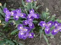 P1180653[1].webp