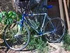 DSC00234.webp