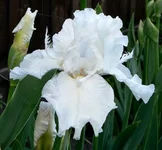 .[1].webp