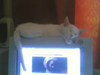 24072009(012).webp