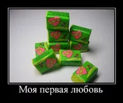 dem-001.jpg