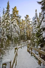 IMGP6266.webp