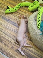 IMG_1456.JPG