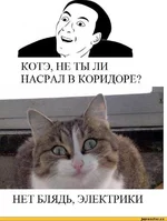 5%D1%81%D0%BE%D1%87%D0%BD%D0%B8%D1%86%D0%B0-106642.jpg
