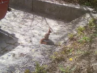 -0042.webp