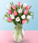 FTD Pink and White Tulip.jpg