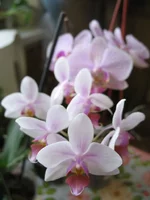 IMG_4370.webp