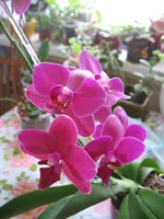 IMG_4378.webp