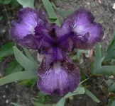 P1180614[1].webp
