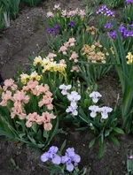 P1180666[2].webp