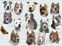  разных форм.webp