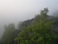 P2011028.JPG