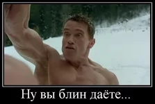 86214740_075.jpg