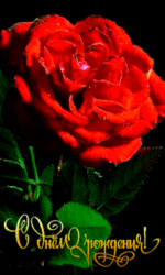120925506.gif
