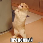 kote_9995208_orig_.jpg