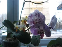 IMG_8684.webp